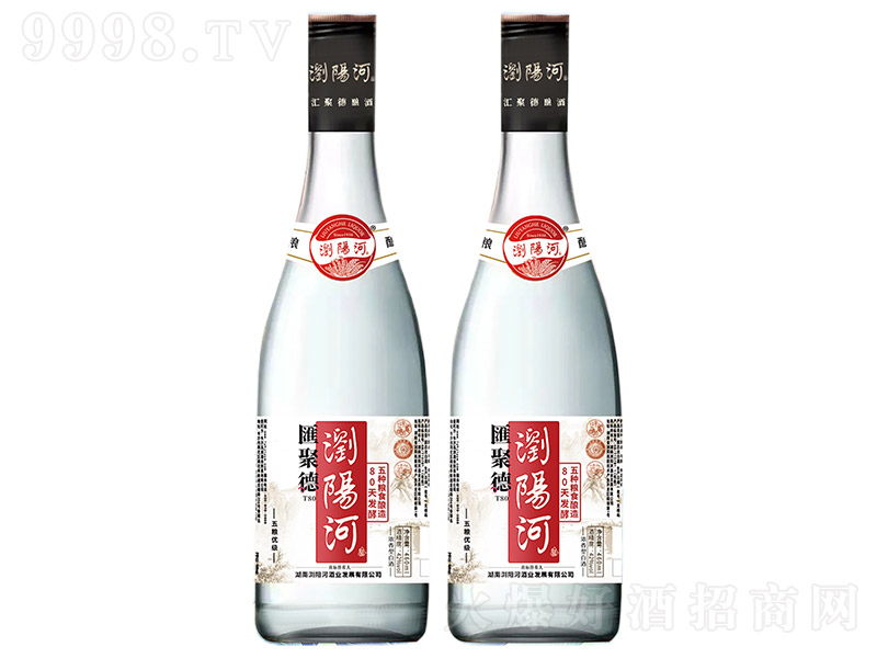 g(yng)ӾơR۵T80 ͡42 460ml